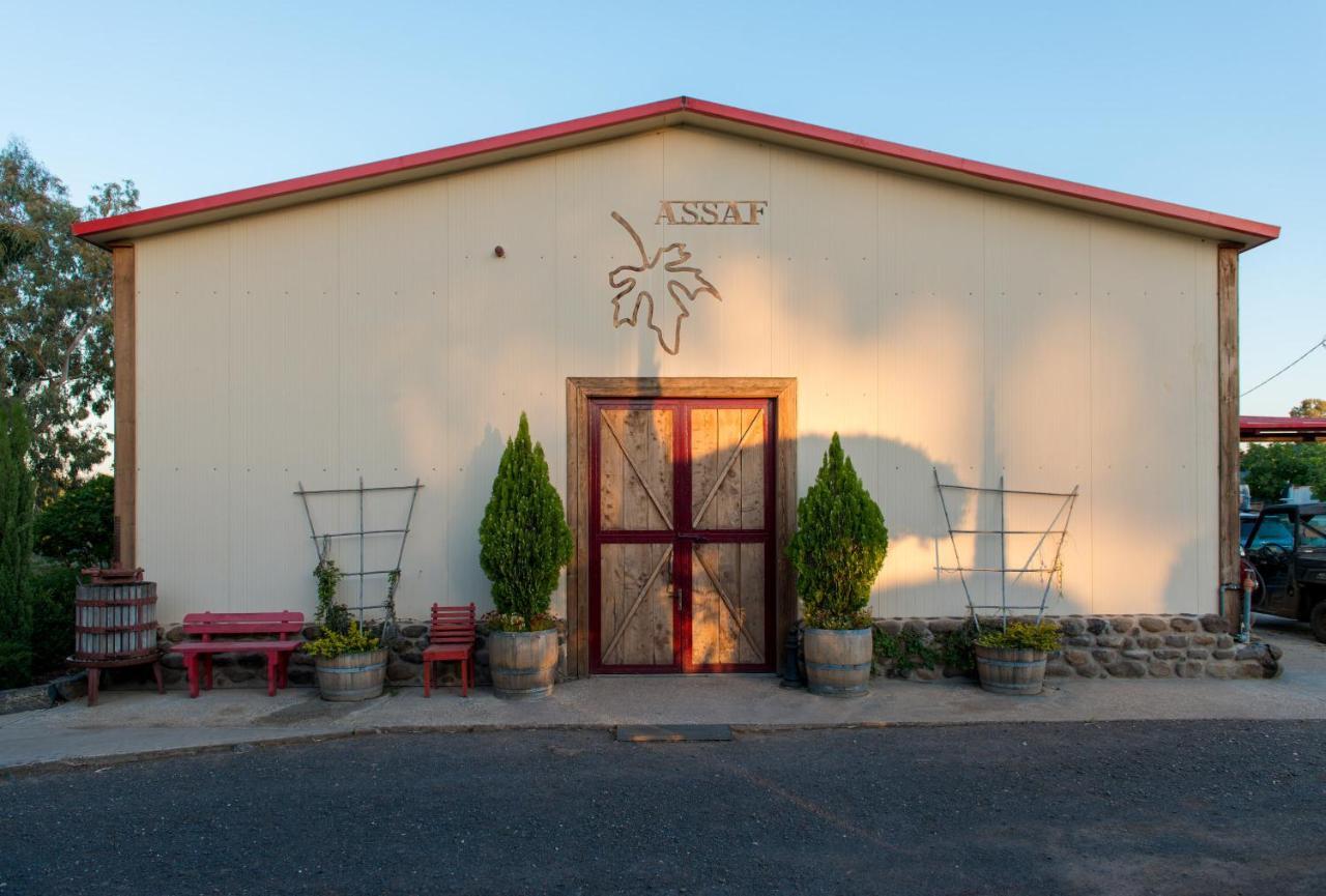 Assaf Boutique Winery & Cabins Kidmat Tsvi Exteriör bild